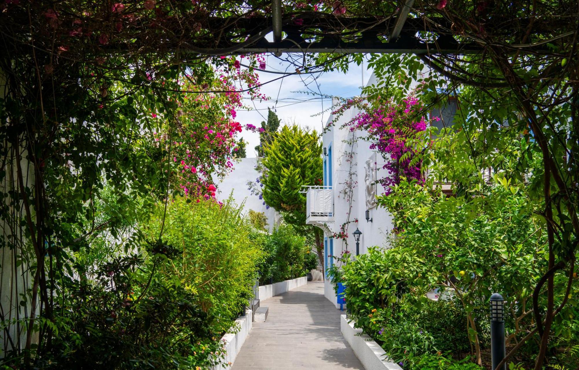 Manuela Boutique Hotel ביטז מראה חיצוני תמונה