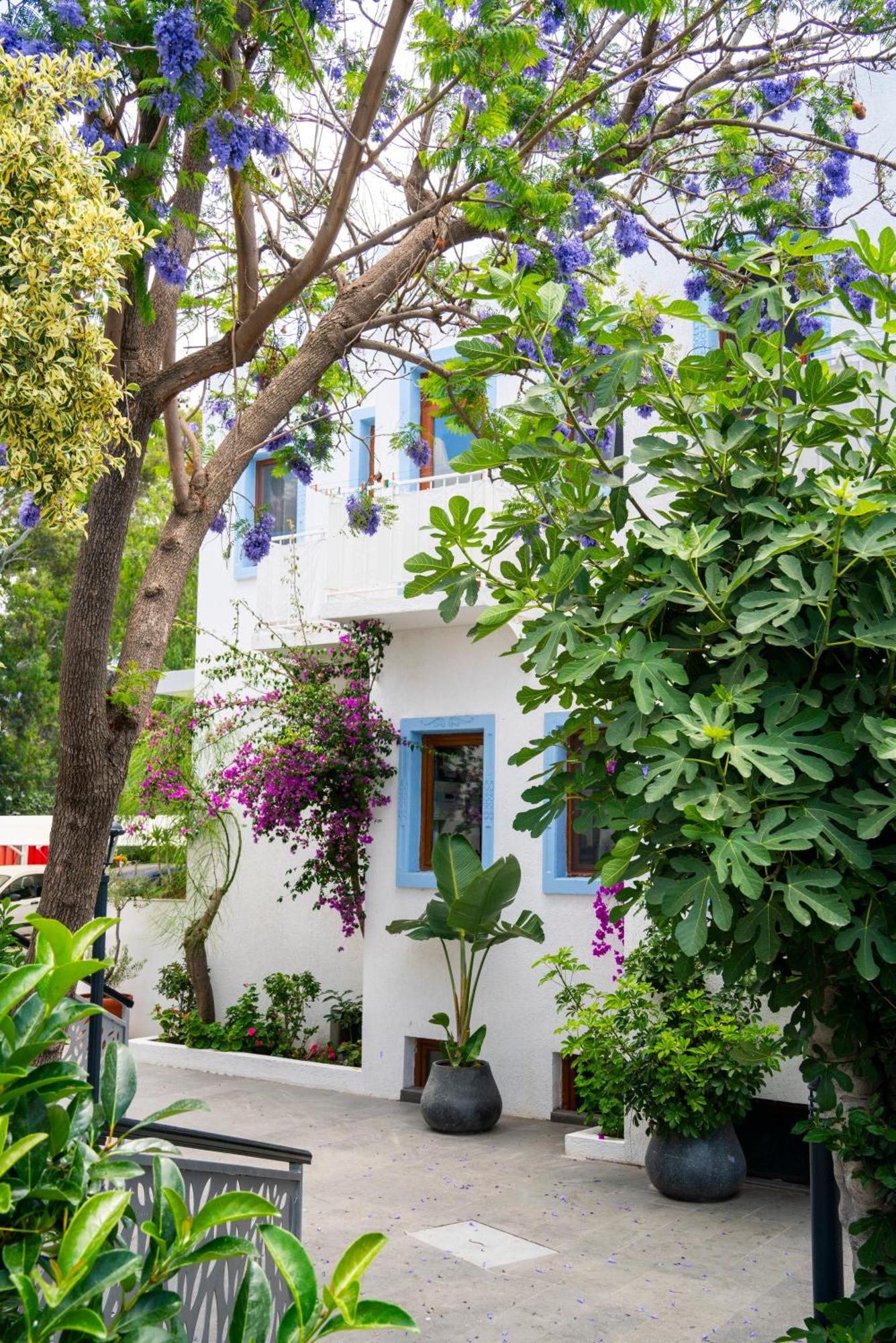 Manuela Boutique Hotel ביטז מראה חיצוני תמונה