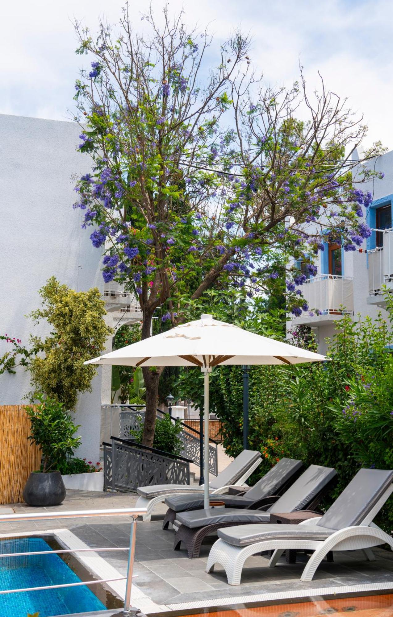 Manuela Boutique Hotel ביטז מראה חיצוני תמונה