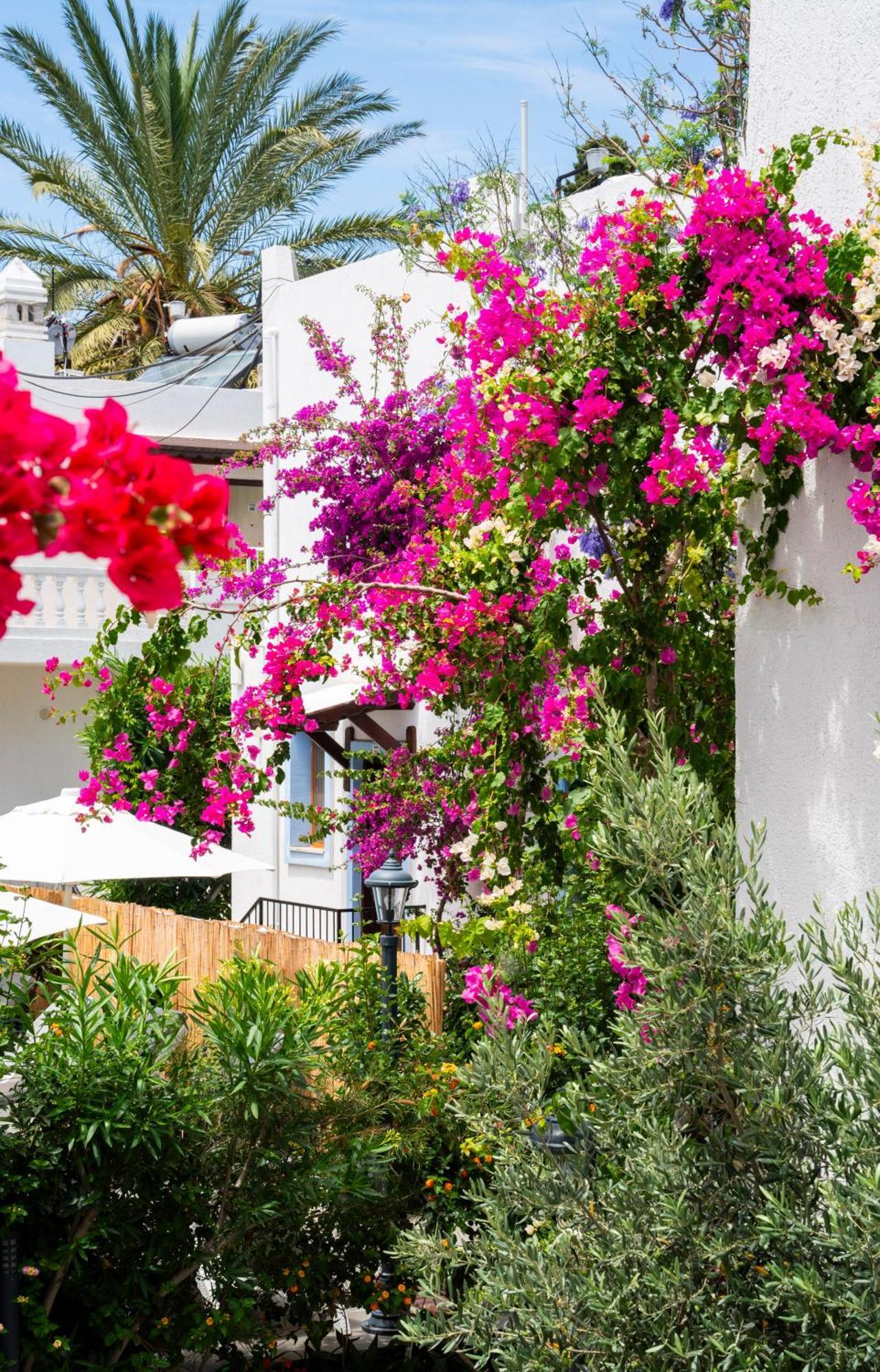 Manuela Boutique Hotel ביטז מראה חיצוני תמונה